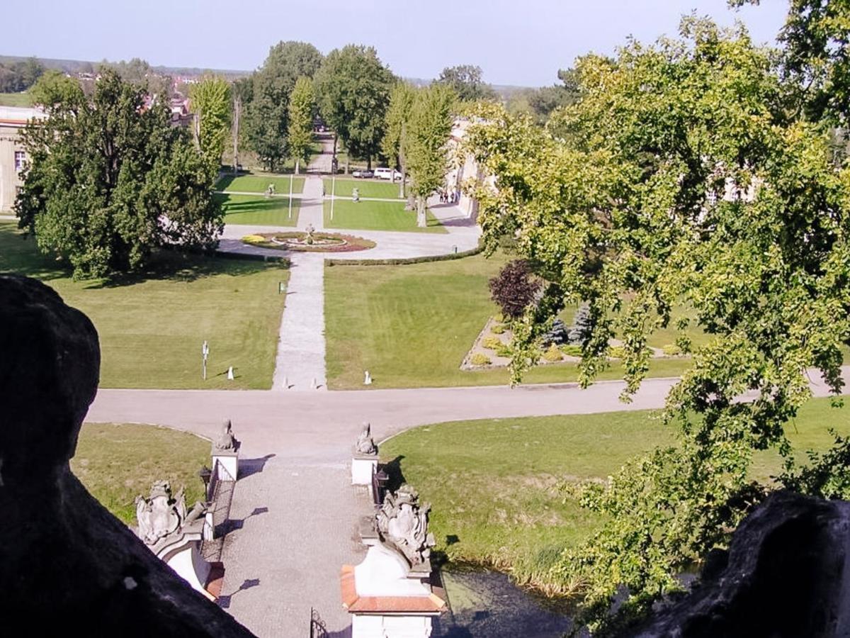 Hotel Zamek Krolewski W Rydzynie Rydzyna Bagian luar foto
